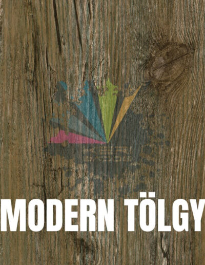 MODERN TÖLGY